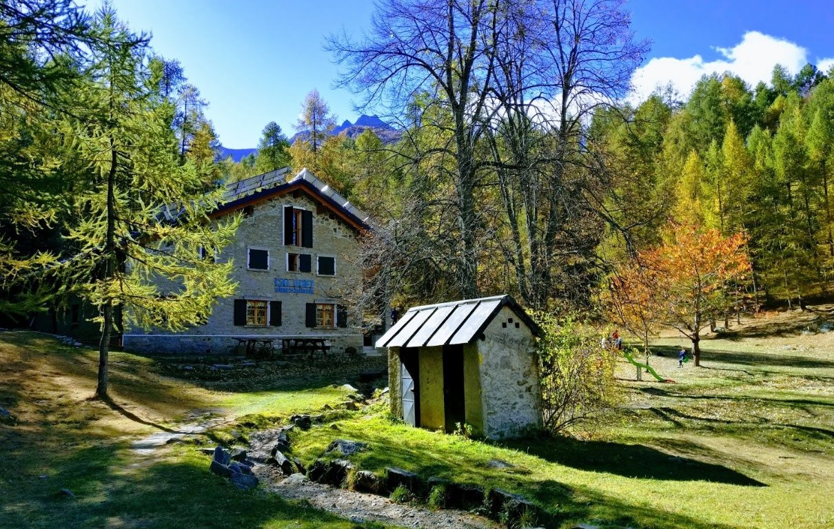 amprrimo