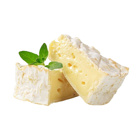 FORMAGGIO-removebg-preview